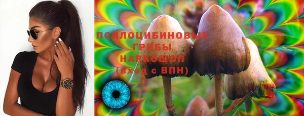 марки nbome Инсар