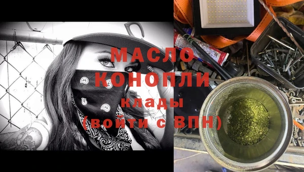 mix Инта