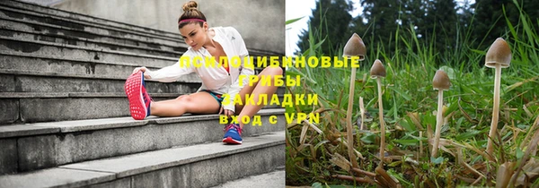 марки nbome Инсар