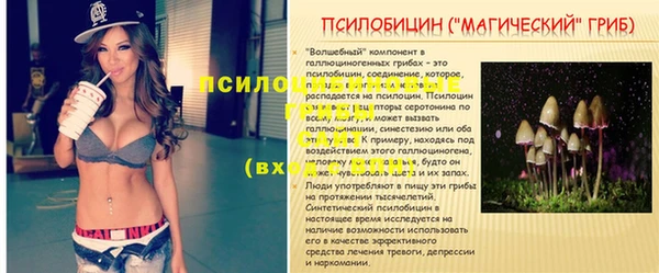 mix Инта