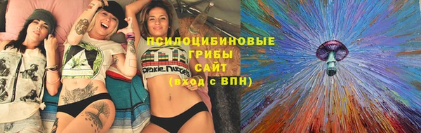 mix Инта