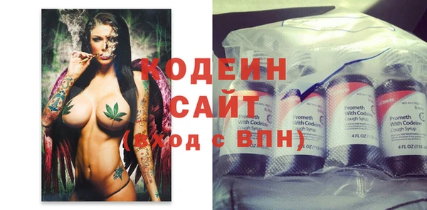 mix Инта