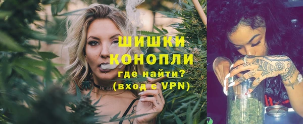 mix Инта