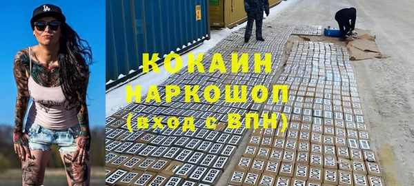 mix Инта