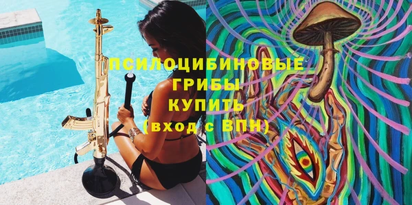 mix Инта