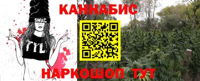 индика Ипатово