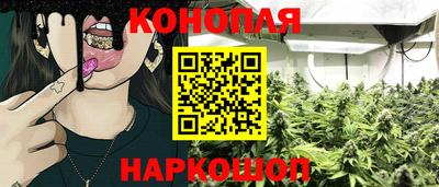 индика Ипатово