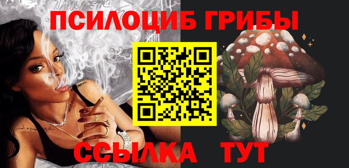 Псилоцибиновые грибы прущие грибы  Вход с VPN  Прокопьевск  Галлюциногенные грибы Psilocybe 